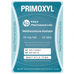 Buy Primobolan Tablets 25 mg | Oral Methenolone Acetate