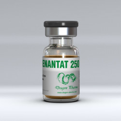 Enanthate 250 | Dragon Pharma Testosterone Enanthate 250 mg