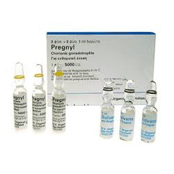 Buy HCG | Pregnyl 5000 IU Injections | PCT, Fertility and Weight Loss