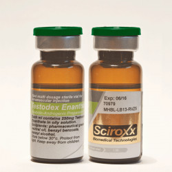 Testodex 250 | Order Testosterone Enanthate Online